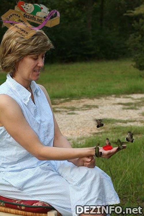 Фотошоп или нет: стоит ли верить тому, что размещено в Сети ?