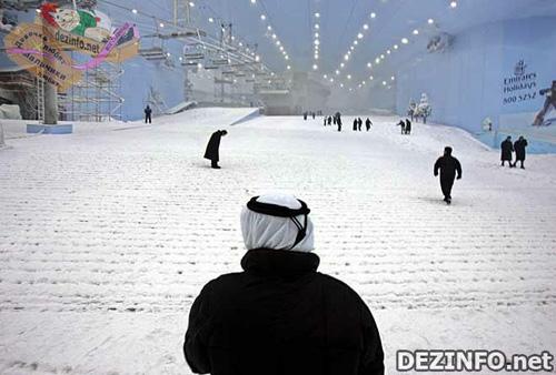 Фотошоп или нет: стоит ли верить тому, что размещено в Сети ?