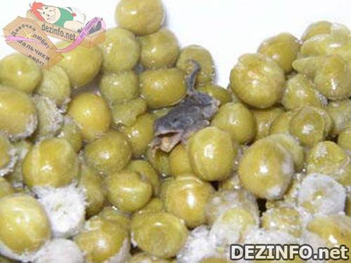 Фотошоп или нет: стоит ли верить тому, что размещено в Сети ?