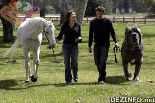 Фотошоп или нет: стоит ли верить тому, что размещено в Сети ?