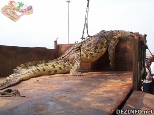 Фотошоп или нет: стоит ли верить тому, что размещено в Сети ?