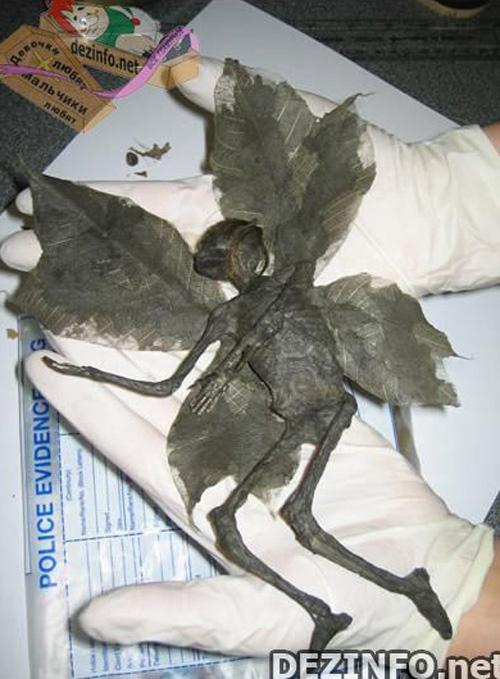 Фотошоп или нет: стоит ли верить тому, что размещено в Сети ?