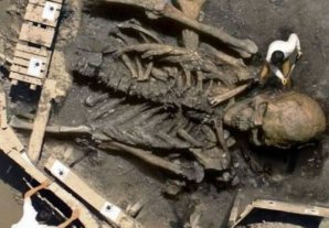 Фотошоп или нет: стоит ли верить тому, что размещено в Сети ?