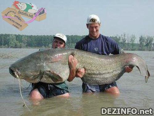 Фотошоп или нет: стоит ли верить тому, что размещено в Сети ?