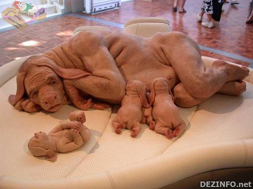 Фотошоп или нет: стоит ли верить тому, что размещено в Сети ?