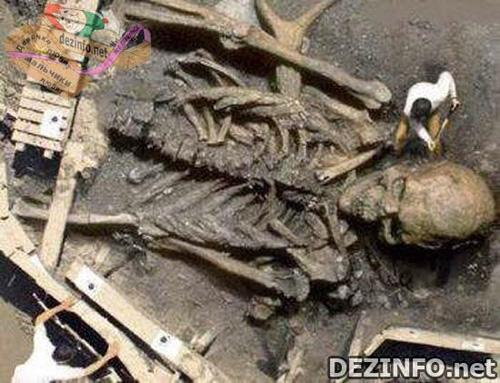 Фотошоп или нет: стоит ли верить тому, что размещено в Сети ?