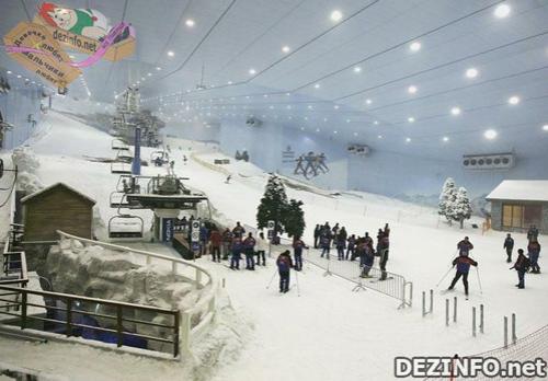 Фотошоп или нет: стоит ли верить тому, что размещено в Сети ?