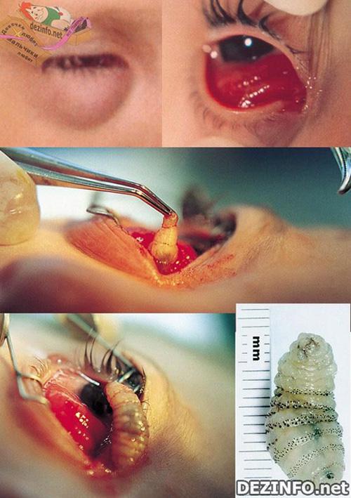 Фотошоп или нет: стоит ли верить тому, что размещено в Сети ?