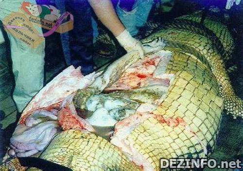 Фотошоп или нет: стоит ли верить тому, что размещено в Сети ?