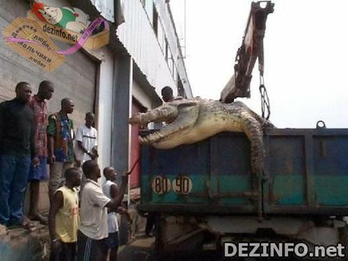 Фотошоп или нет: стоит ли верить тому, что размещено в Сети ?