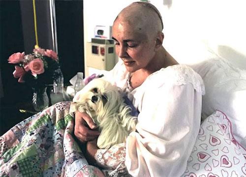 20 век от Гарри Бенсона: таких звезд вы еще не видели!