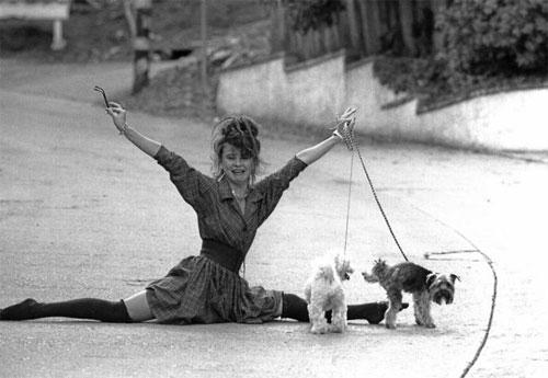 20 век от Гарри Бенсона: таких звезд вы еще не видели!