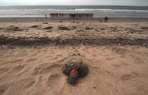 Как тренируются "Морские котики" армии США