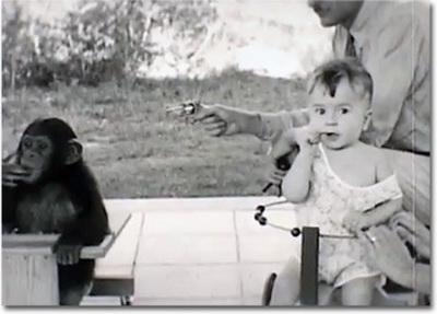 Топ-20 самых необычных экспериментов в истории