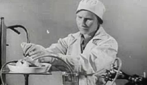 Топ-20 самых необычных экспериментов в истории