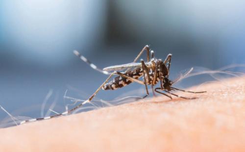 Топ-20 самых необычных экспериментов в истории