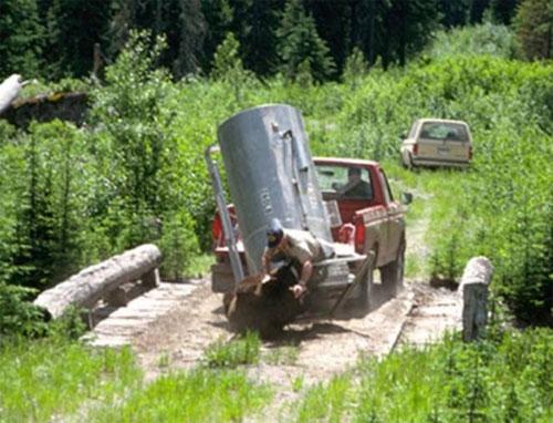 Медведь отомстил своему тюремщику