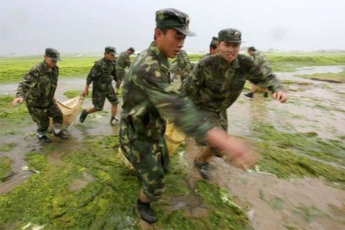 Часть из которых вызвалась чистить море добровольно, а часть подчинилась приказу. 