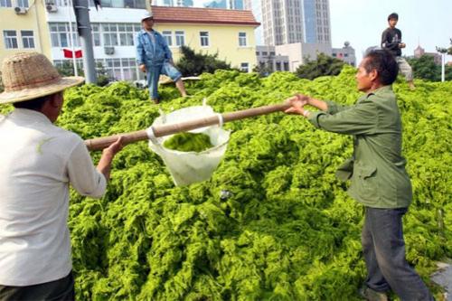 В "субботнике" участвуют около 20 тысяч человек…