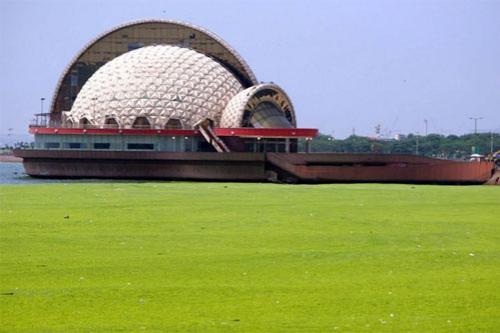 Олимпийский кошмар: на Китай напали зелёные водоросли