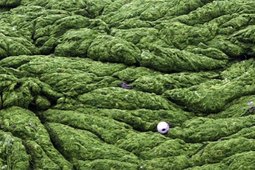 В том числе около 11 тысяч студентов…