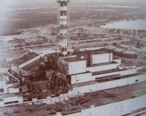 Мутанты Чернобыля: страшные последствия аварии на Чернобыльской АЭС