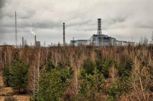 Мутанты Чернобыля: страшные последствия аварии на Чернобыльской АЭС