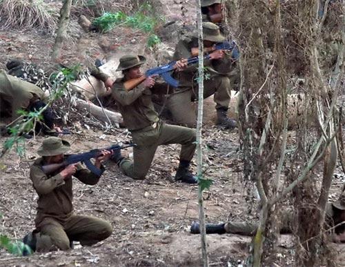 Сталлоне зажигает: старик Рэмбо идет на войну