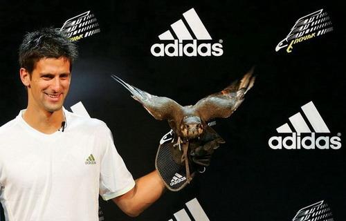 Топ-10 самых “дорогих”  теннисистов планеты