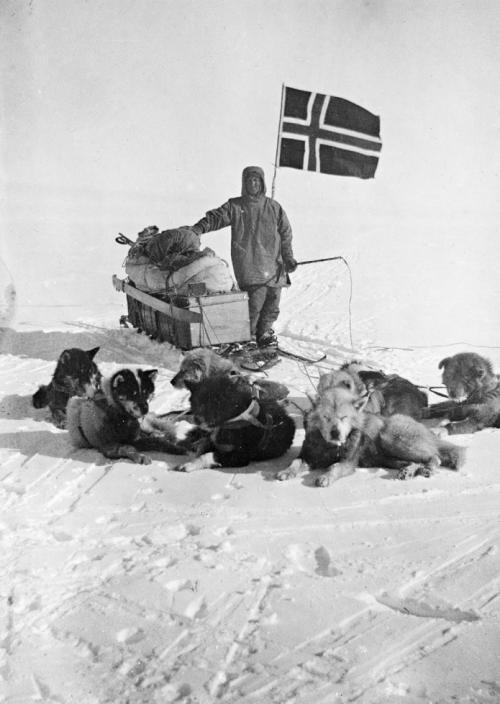 Исполнилось 100 лет покорению Южного полюса