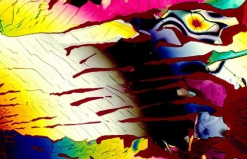 Алкоголь под микроскопом