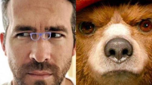 Знаменитости, которые недолюбливают друг друга