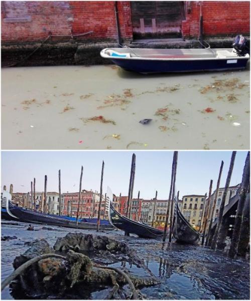 Горькие туристические разочарования Европы