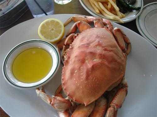 В Британии пойман краб-рекордсмен