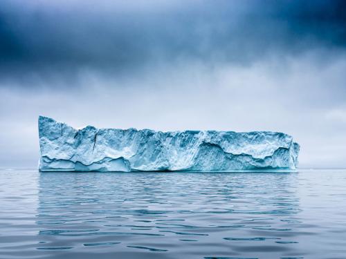 Фото с конкурса Sony World Photography Awards 2020
