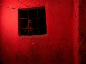 Фото с конкурса Sony World Photography Awards 2020