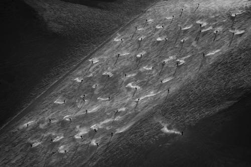 Фото с конкурса Sony World Photography Awards 2020