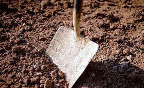 Подлинные истории о воскрешении из мертвых