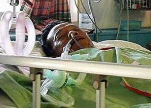 Подлинные истории о воскрешении из мертвых