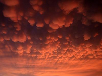 Лучшие фотографии природы 2012 года