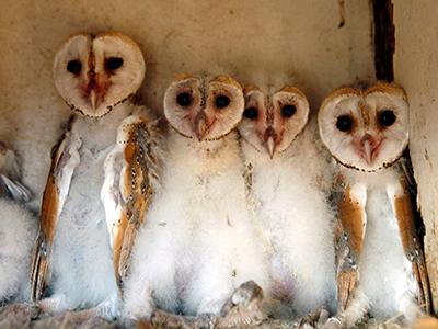 Лучшие фотографии природы 2012 года