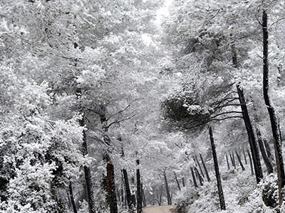 Лучшие фотографии природы 2012 года