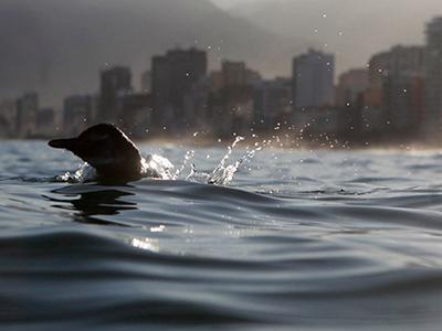 Лучшие фотографии природы 2012 года