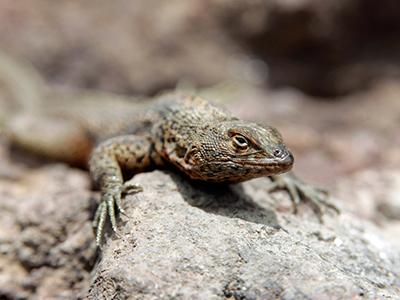 Лучшие фотографии природы 2012 года