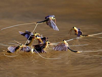 Лучшие фотографии природы 2012 года
