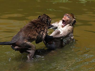 Лучшие фотографии природы 2012 года