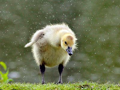 Лучшие фотографии природы 2012 года