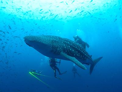 Лучшие фотографии природы 2012 года