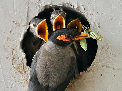 Лучшие фотографии природы 2012 года