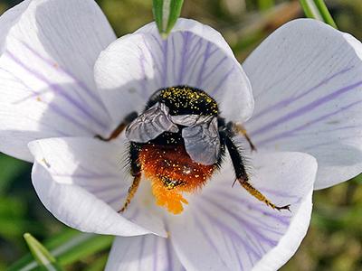 Лучшие фотографии природы 2012 года